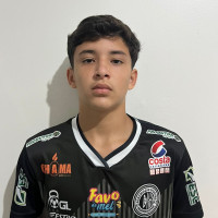 BRIAN VICTOR PEREIRA DA SILVA