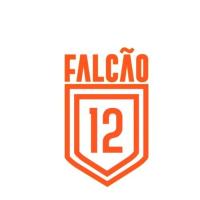 CT12 FALCÃO -B