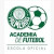 ACADEMIA PALMEIRAS MARINGá